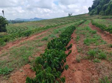 Rural , Cássia dos Coqueiros · Sítio 55 mil pés de café mecanizados 