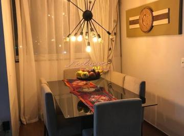 casa-vila-miranda-itaquaquecetuba-782024230.jpeg · Casa - Vila Miranda, Itaquaquecetuba
