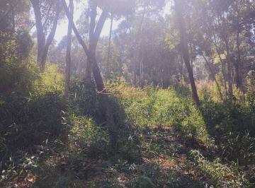 terreno-estrada-do-rio-acima-mogi-das-cruzes-1131752590.jpeg · Terreno 4000m2 - Chacara - Estrada do Rio Acima, Mogi das Cruzes