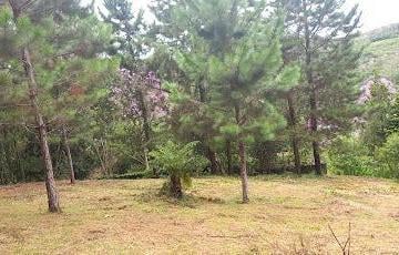 7d97ac79286115409243646998fd871bac7c533c · Chácara com 1 dormitório à venda, 1873 m² por R$ 180.000,00 - Vila Roschel - São Paulo/SP