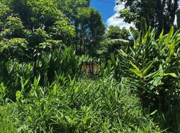 8f11151b41a982b215e0fd105a0c6bade5b4af75 · Terreno à venda, 1000 m² por R$ 110.000,00 - Parque Florestal - São Paulo/SP