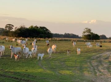 Rural de 1 quarto, Nhecolândia · 24.000 hectares de oportunidade em um dos biomas mais ricos do Brasil