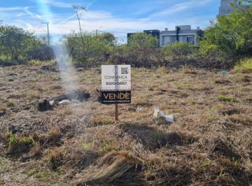 39666585_g.jpg ·
Excelentes lotes 12 x 30m, Av Açucena