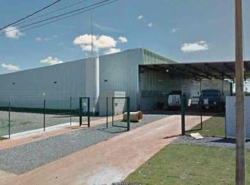 galpaologisticomfrenteaoassaificaqspistaosullotecommacaguasclarasdfnegociamosproposta_1651070625995.jpg · Galpão Logístico com 2800m² vão livre, pé dir 5 mts, com habíte-se, área coberta externa, em terreno