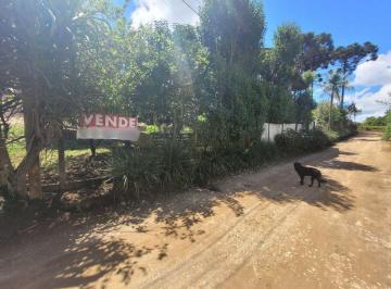 eab535e4d9307f98d3bfc87409a02d3739cc185d15164e58297936357d49fcd5.jpg · Terreno à venda, 300 m² por R$ 145.000 - São Gabriel - Colombo/PR