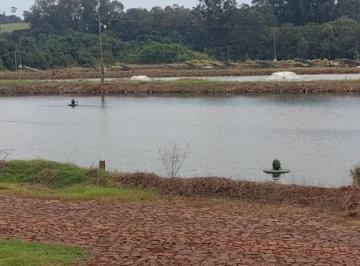 ae968d83fbfc86345b18e09b6d0364e5da9175a9daf6b110ad39b5d4de4fc906.jpg · Fazenda de Piscicultura