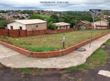 Foto 01 · Terreno - Jacarezinho