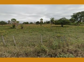 Terreno · Terreno rural denominado Fazenda São João, situado no bairro do Paiol Velho, Piedade/SP