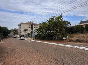 IMG-20250716-WA0079 · Terreno à Venda em Lajeado - São Cristóvão