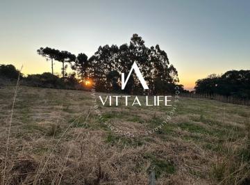 Terreno · 10000m² · Terreno à venda em Morro Reuter/RS