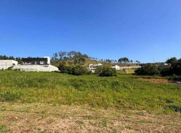 e2a491b12da2eb77be82537995e13540cdf452bb · Terreno à venda, 800 m² por R$ 360.000 - Ouro Fino - Santa Isabel/SP
