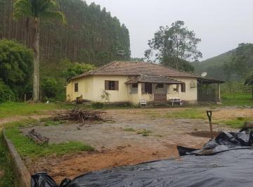 Foto 01 · *EXCELENTE FAZENDA COM EUCALIPTOS A VENDA NO ESTADO DE SÃO PAULO* ??   Localização: Região do Vale d