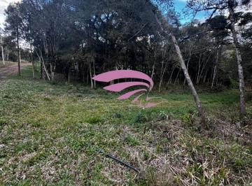 Foto 01 · Terreno, Borda do Campo, São José dos Pinhais, PR