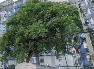 Apartamento · 37m² · Apartamento à venda - em Humaitá