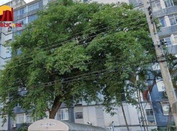 Apartamento · 37m² · Apartamento à venda - em Humaitá