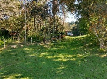 Terreno · 44077m² · Terreno para Venda - 0m², 0 dormitórios, Belém Novo, Porto Alegre