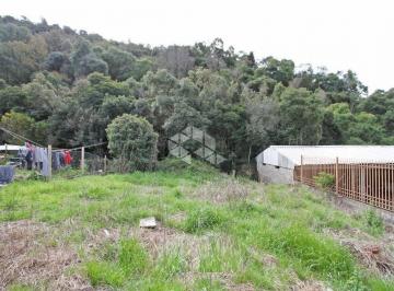 703497_i674MNfE_7034976878f7cccd965.jpg · Terreno plano, com 378m²