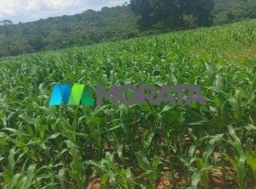 7772_ic6o459V67ZRMZx31c1_777267ae4a5b56600.jpg · Imoveis - na Zona Rural