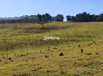 Foto 01 · LINDA FAZENDA DE PECUARIA E EUCALIPTO - BOTUCATU/SP