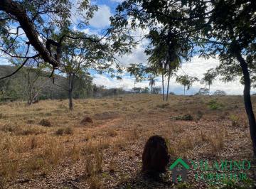 Rural · 235m² · FAZENDA EM BALDIM