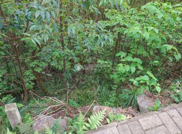 lote 31. · Terreno urbano em bairro tranquilo Nova Petrópolis RS