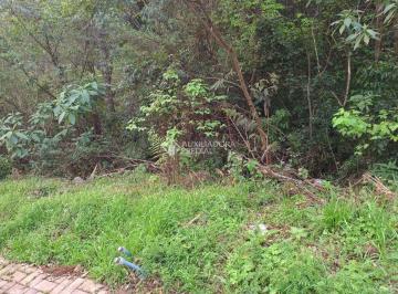 lote 09 · Terreno urbano plano em Nova Petrópolis em bairro tranquilo
