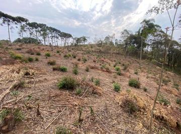 202409281105127200.jpg · Terreno para Venda em Toledo, Rural