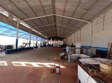 Comercial · 3000m² · Galpão disponível para Locação no bairro Segismundo Pereira em Uberlândia-MG