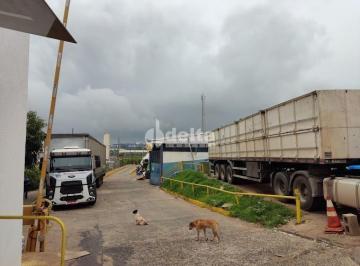 NULL · Galpão disponível para locação no bairro Distrito Industrial em Uberlândia-MG