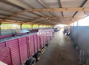 Comercial · 9000m² · Galpão comercial disponível para Locação no bairro Distrito Industrial em Uberlândia-MG