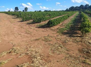 Rural , São Sebastião do Paraíso · Sítio com 70 mil pés de café mecanisado