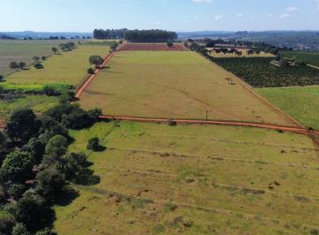 Rural de 2 quartos, Santo Antônio da Alegria · Sítio ótimo para plantar café ,abacate 