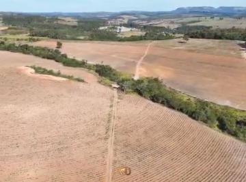 Rural de 3 quartos, São Sebastião do Paraíso · Propriedade ótima para café ,abacate etc ....