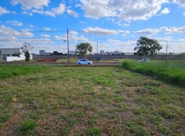 Terreno · 250m² · ótimo totalmente plano, residencial e comercial na avenida parque Tauá fora do condomínio