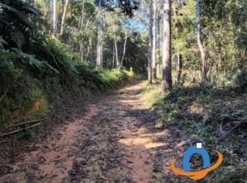 Foto 01 · Chácara de 20.000m² no Centro de Tijucas do Sul-PR: sua oportunidade de adquirir um pedaço do paraís