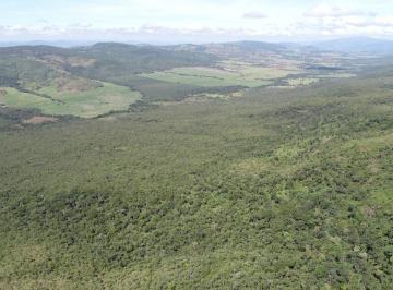 Rural , Barro Alto · Fazenda - Barro Alto - Vegetação Nativa - Licença Desmatamento