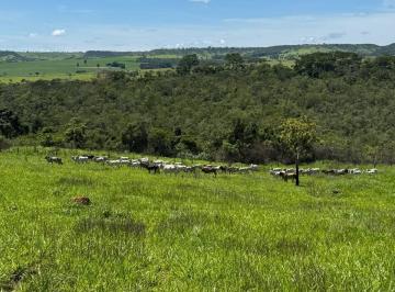 Rural de 4 quartos, Alexânia · Alexania-GO Fazenda 25 alqueres #Casa C/quartos# Alexanha GO