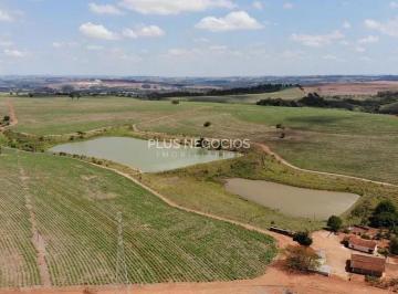 9d68d7eb-3e7e-4b74-b6ab-723df8934df91736779678142.jpg · Fazenda à venda, estrada de  Tatuí, a Alambari 126,7 alqueires