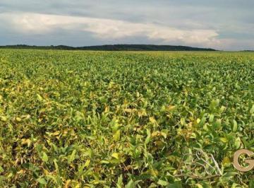 Rural · 13260000m² · FAZENDA NA REGIÃO DE PEDRO AFONSO-TO!