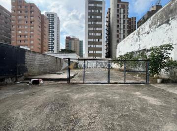 0 · Terreno para locação no Cambuí – Campinas/SP