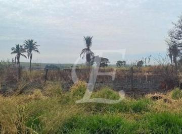 ccc0ed09f247f048ba62476d2f29dd74d5bcf3f7 · Área à venda, 14700 m² por R$ 3.999.000,00 - Jardim Nova Limeira - Limeira/SP