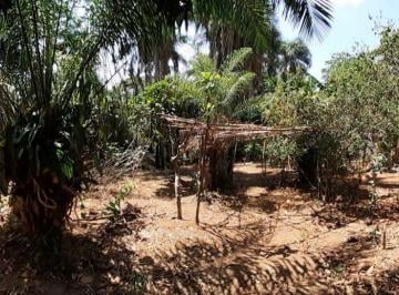 Foto 1 · Chácara de 900 m² - Conjunto Estrela do Sul - Aparecida de Goiânia/GO
