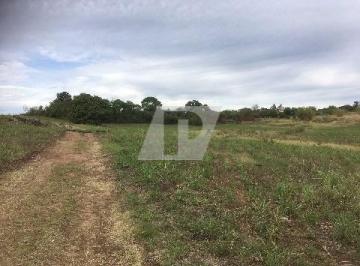 Comercial , Piracicaba · Área comercial à venda - Pau Queimado - 100.000m²