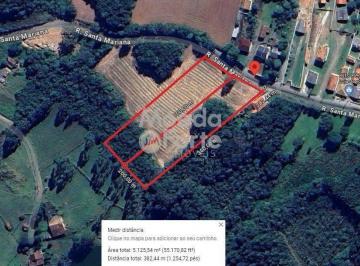 Terreno · 10000m² · Terreno à venda - na Vila Delurdes