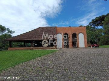 Rural · 8718m² · 5 Quartos · Rurais à venda - em Campo Magro