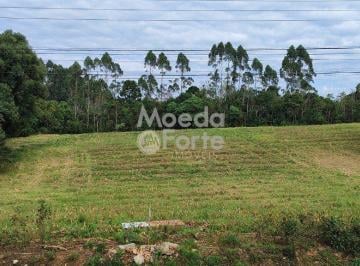 Terreno · 5000m² · Terreno à venda - na Vila Delurdes