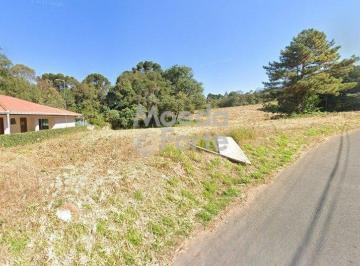 Terreno · 5000m² · Terreno à venda - na Vila Delurdes