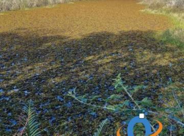 Foto 01 · Chácara à venda em Pinhais-PR, bairro Weissópolis, com 22.000m² de área - não perca essa oportunidad