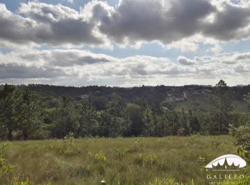 Foto 01 · VENDA TERRENO JARINU SP  2.646M²