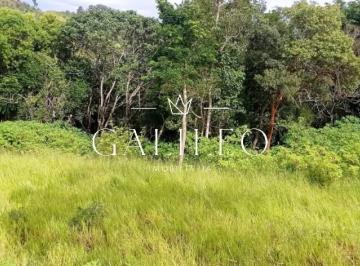 Foto 01 · TERRENO Á VENDA NO BAIRRO SOARES EM JARINU -SP